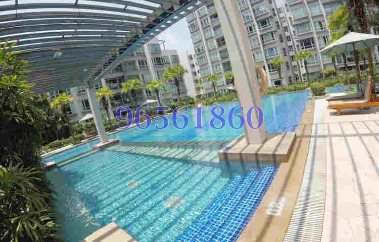 The Raintree (D21), Condominium #174889812